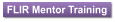 FLIR Mentor Training